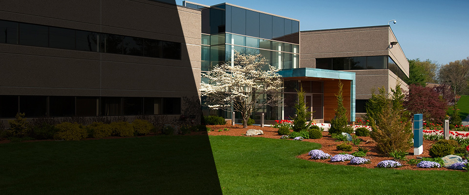 Elkins Park Landscapers