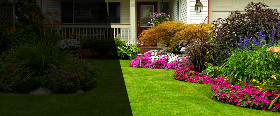 Elkins Park Landscapers