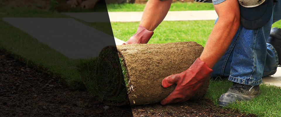 Elkins Park Landscapers